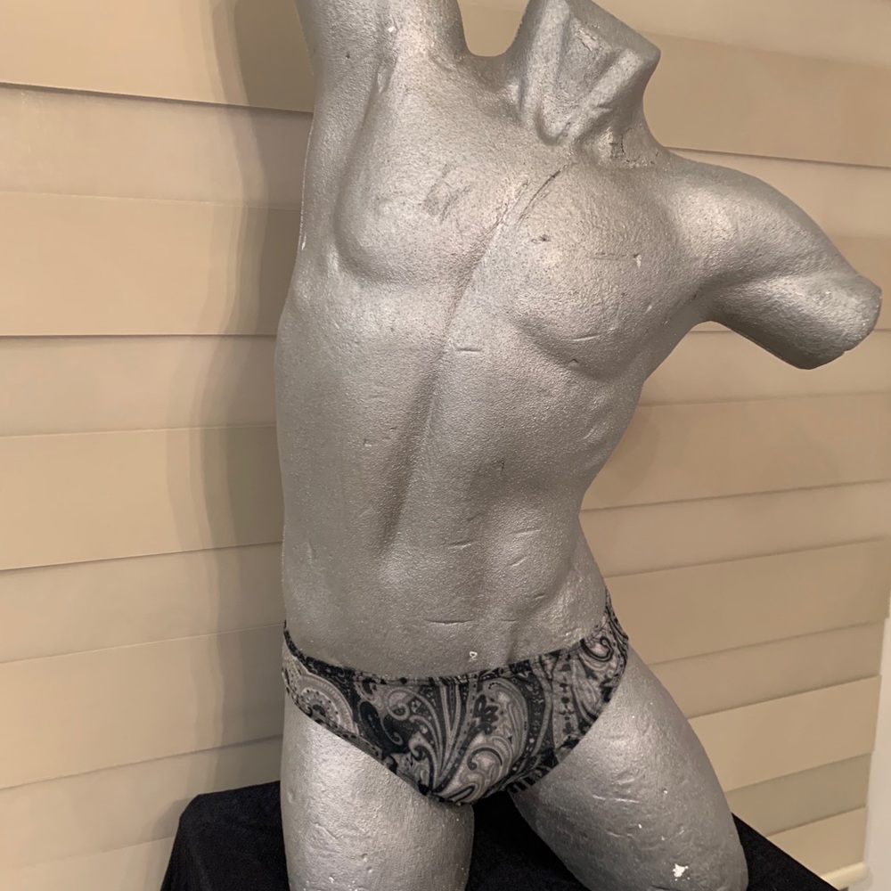 Zodiac Brief - semi sheer J041 - Picture 2 of 4